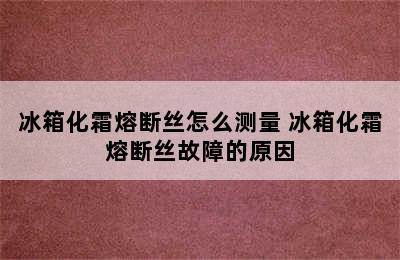 冰箱化霜熔断丝怎么测量 冰箱化霜熔断丝故障的原因